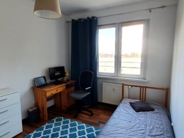 Pokój Toruń