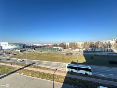 Lokal Kielce