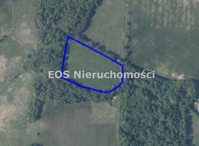Zdjęcie 2