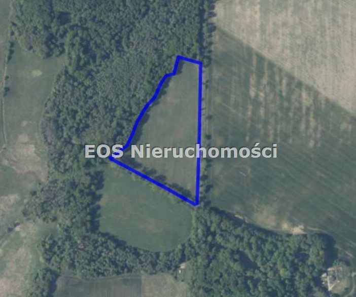 Zdjęcie 3