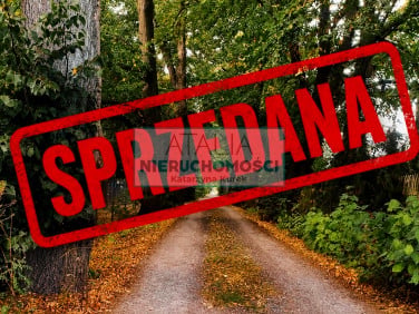 Działka budowlana Adamowizna