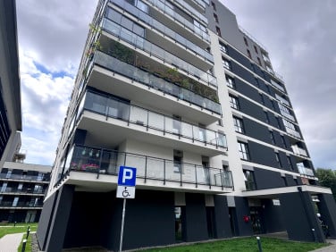 Lokal Rzeszów