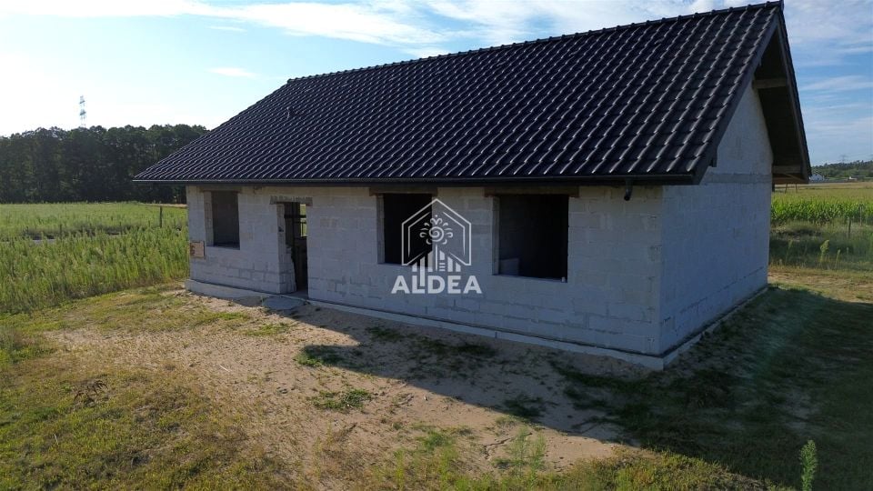 Zdjęcie 3