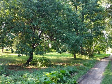 Działka budowlana Cybulice