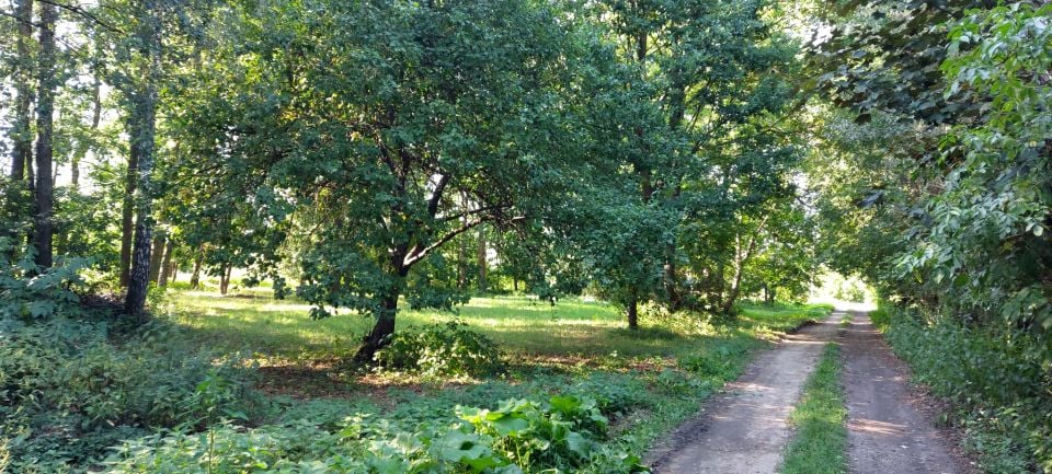 Działka budowlana Cybulice