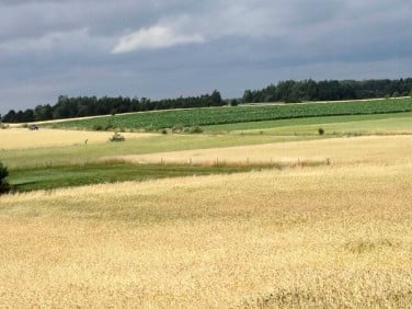 Działka rolna Sokółka