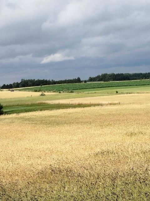 Działka rolna Sokółka