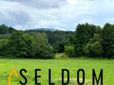 Działka budowlana Sosnówka sprzedam