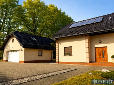 Lokal Katowice