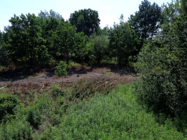 Działka budowlana Sierzchów