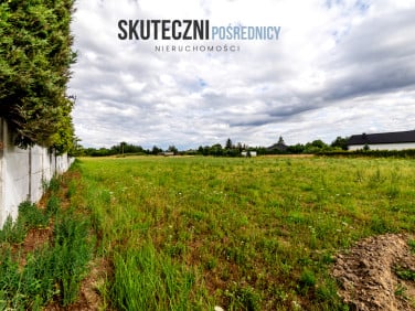 Działka Eufeminów