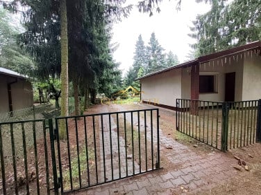 Działka rekreacyjna Sierosław sprzedam