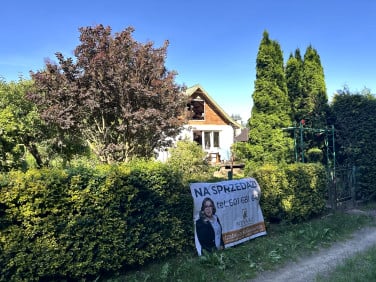 Działka rekreacyjna Borówno