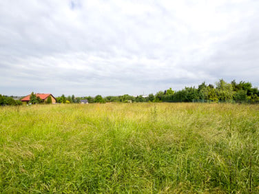 Działka Kościelna Wieś