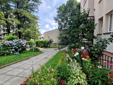 Mieszkanie Bielsko-Biała