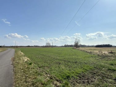 Działka budowlano-rolna Nowe Siołkowice