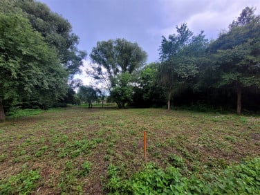 Działka Sosnowiec