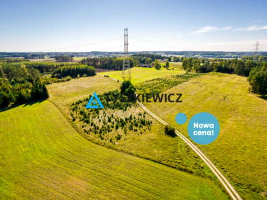 Działka rolna Skorzewo