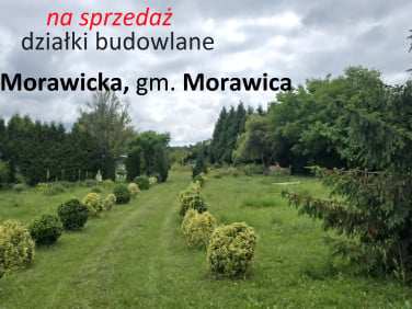 Działka budowlana Wola Morawicka