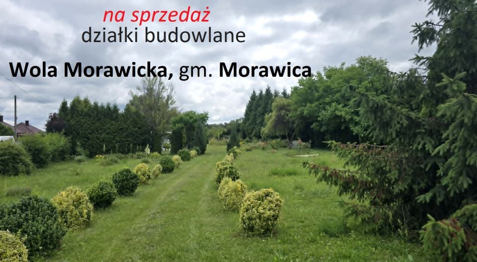 Działka budowlana Wola Morawicka
