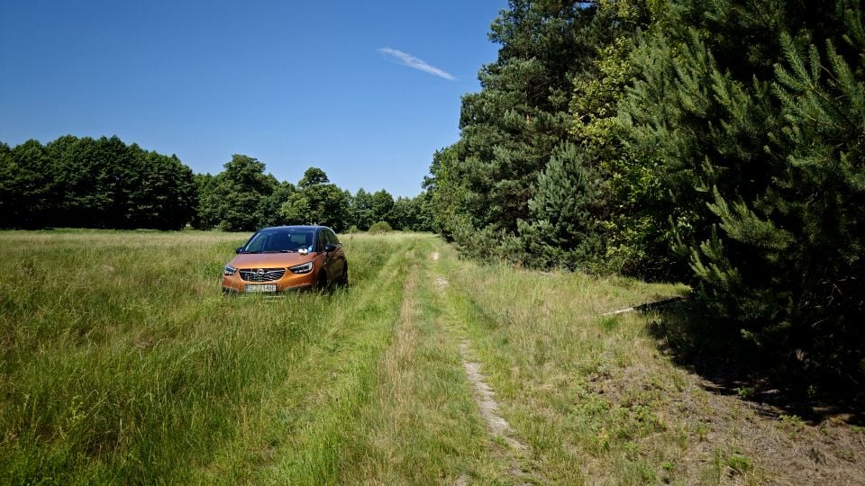 Działka siedliskowa Oława