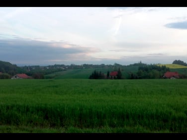 Działka budowlana Cianowice