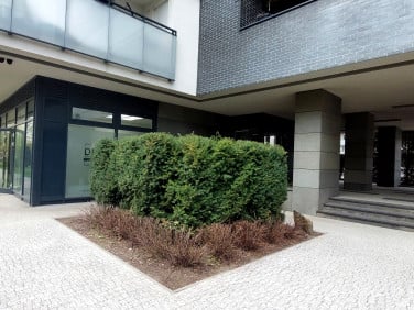 Lokal Warszawa