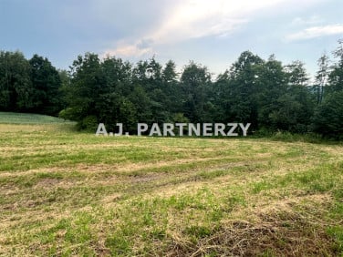 Działka Grajów