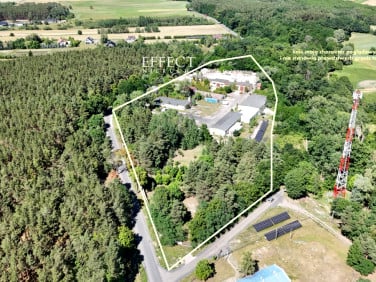 Lokal Siedlisko