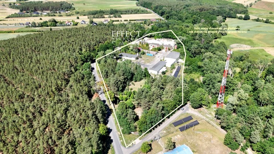 Lokal Siedlisko