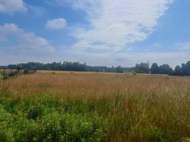 Działka budowlana Wólka Cycowska