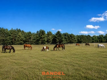 Działka nad morzem