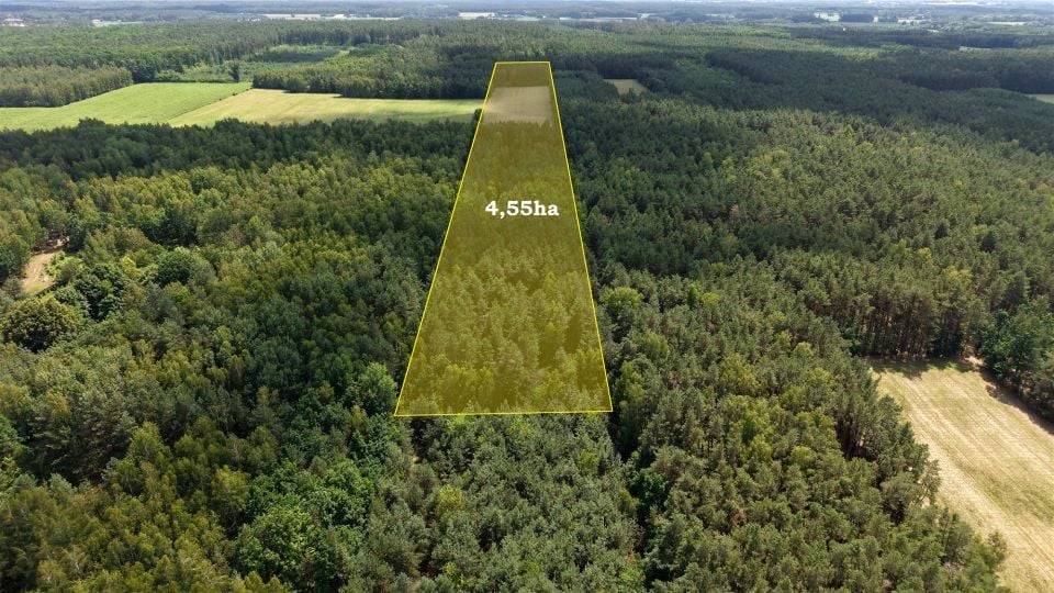 Pusta działka Zielona