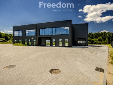 Lokal Ełk