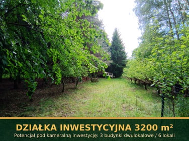 Zalesiona działka Żabia Wola