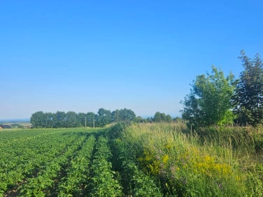 Działka siedliskowa Kocmyrzów