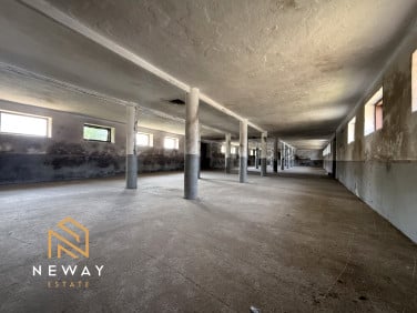 Lokal Libertów