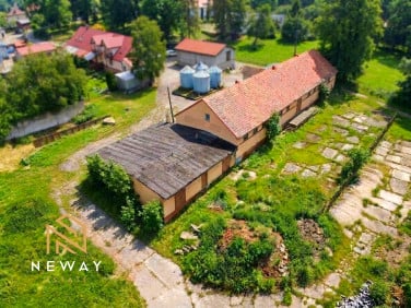 Lokal Libertów