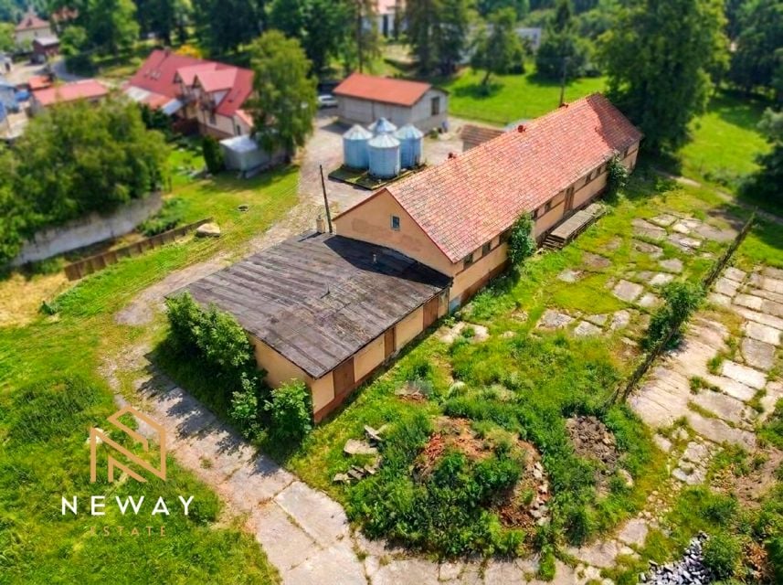 Lokal Libertów