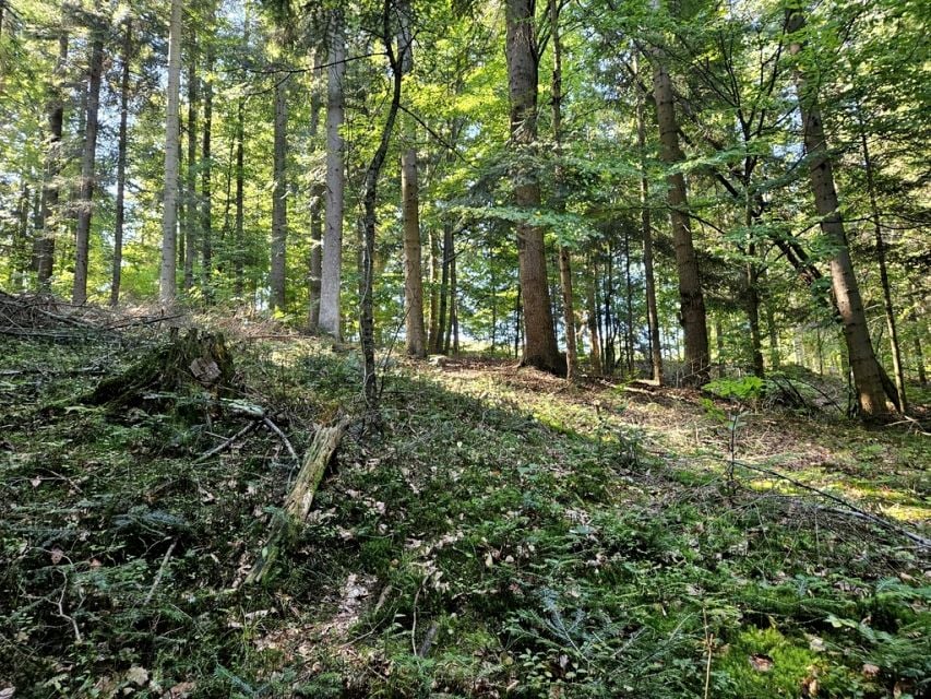 Zdjęcie 3