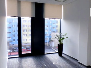 Lokal Piła
