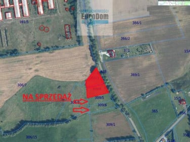 Działka Czernin