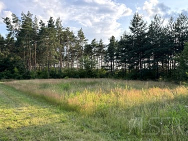 Działka budowlana Kamieńczyk