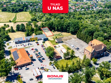 Działka budowlana Chojna