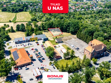 Działka budowlana Chojna