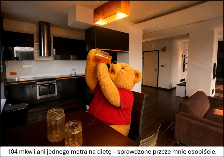 Zdjęcie 3