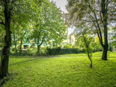 Mieszkanie Łódź sprzedaż