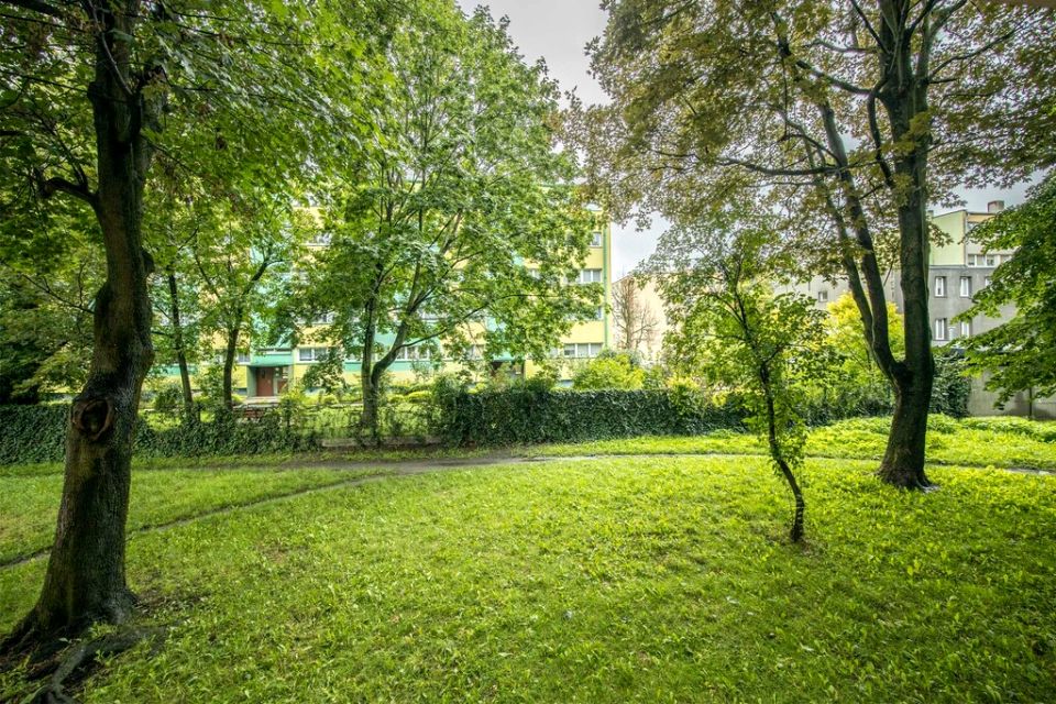 Mieszkanie Łódź sprzedaż