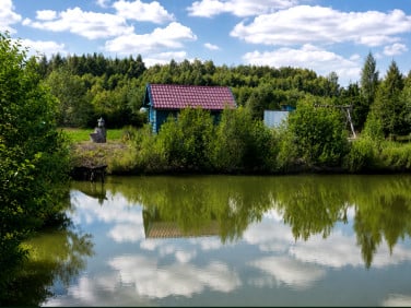 Działka rolna Hołody