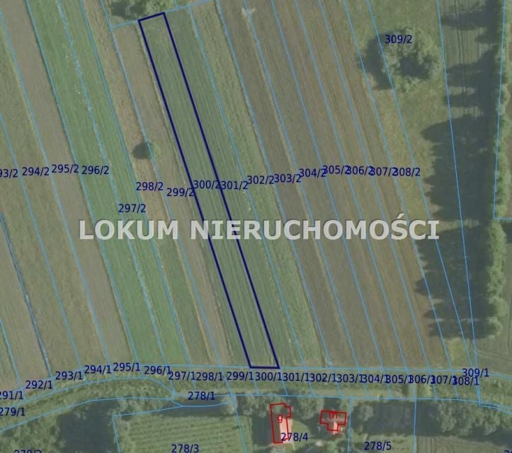 Działka rolna Dąbrówki Breńskie